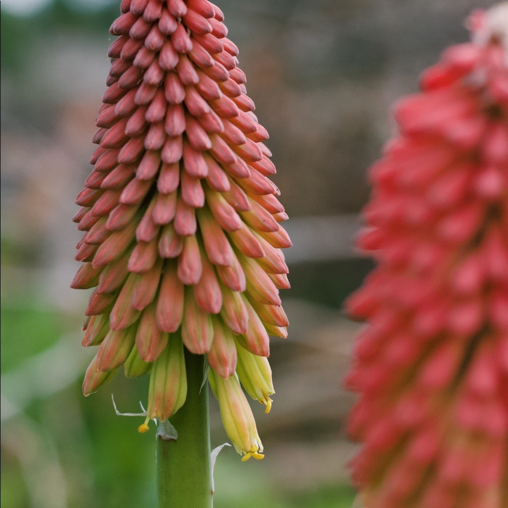 Postcards! - Picture 5 of 8